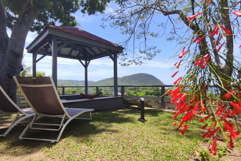 Le jardin avec la piscine privée